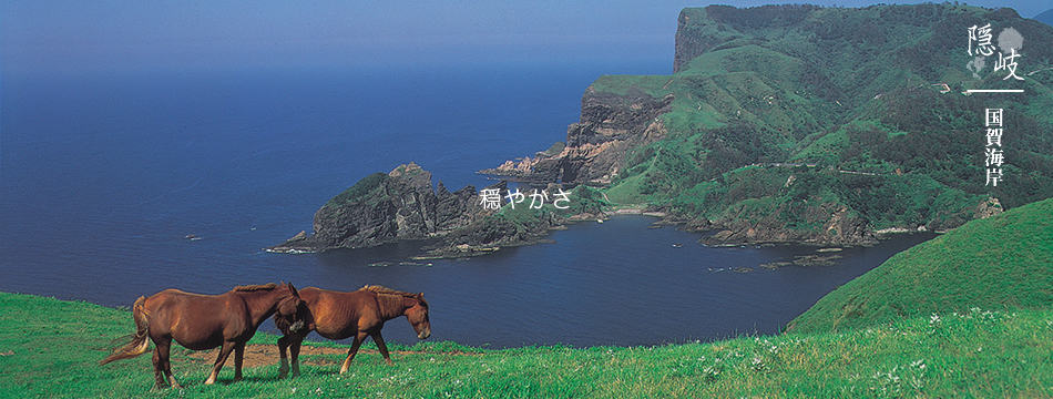 穏やかさ(国賀海岸)