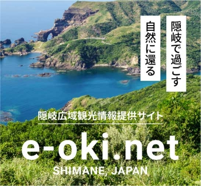 隠岐世界ジオパーク空港